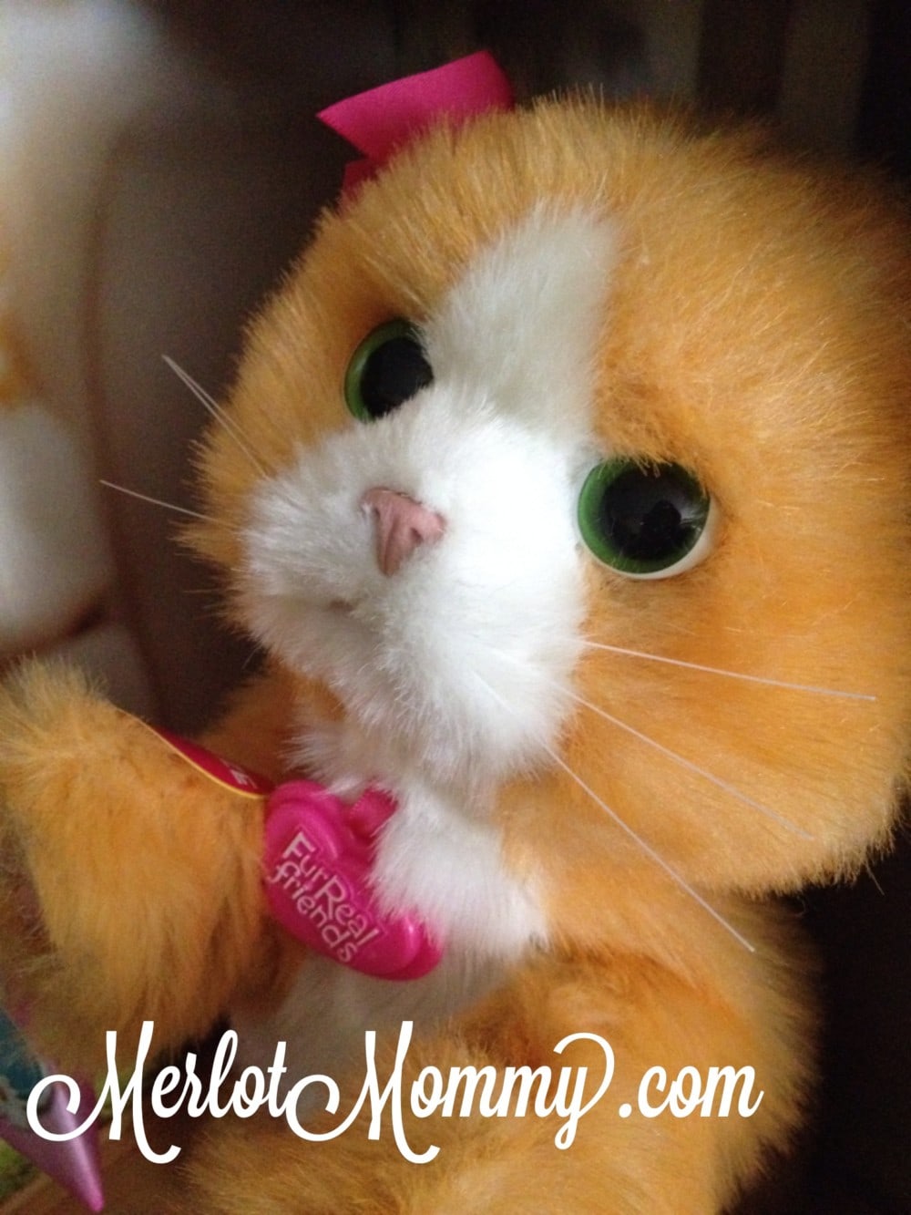 FurReal Friends Daisy PlaysWithMe Kitty Toy {Review} HH2013 » Whisky