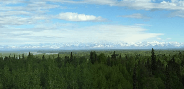 Best Place to Stay in Talkeetna Alaska: Talkeetna Alaskan Lodge {Review}