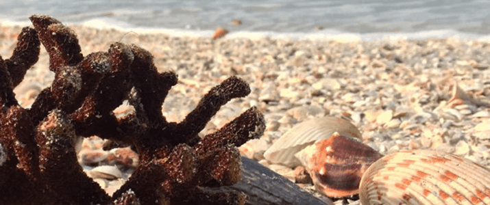 Inn on The Beach 2 Night Giveaway and Review