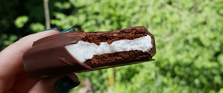 Summer Indulgence Bliss with Skinny Cow