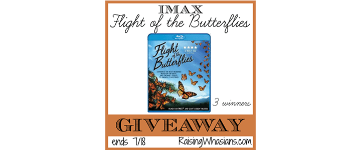 IMAX Flight of the Butterflies Blu-Ray Combo Pack Giveaway