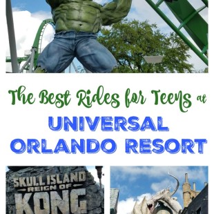 The Best Rides for Teens at Universal Orlando Resort