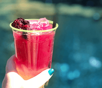 Best of 2018 Disney California Food and Wine Festival