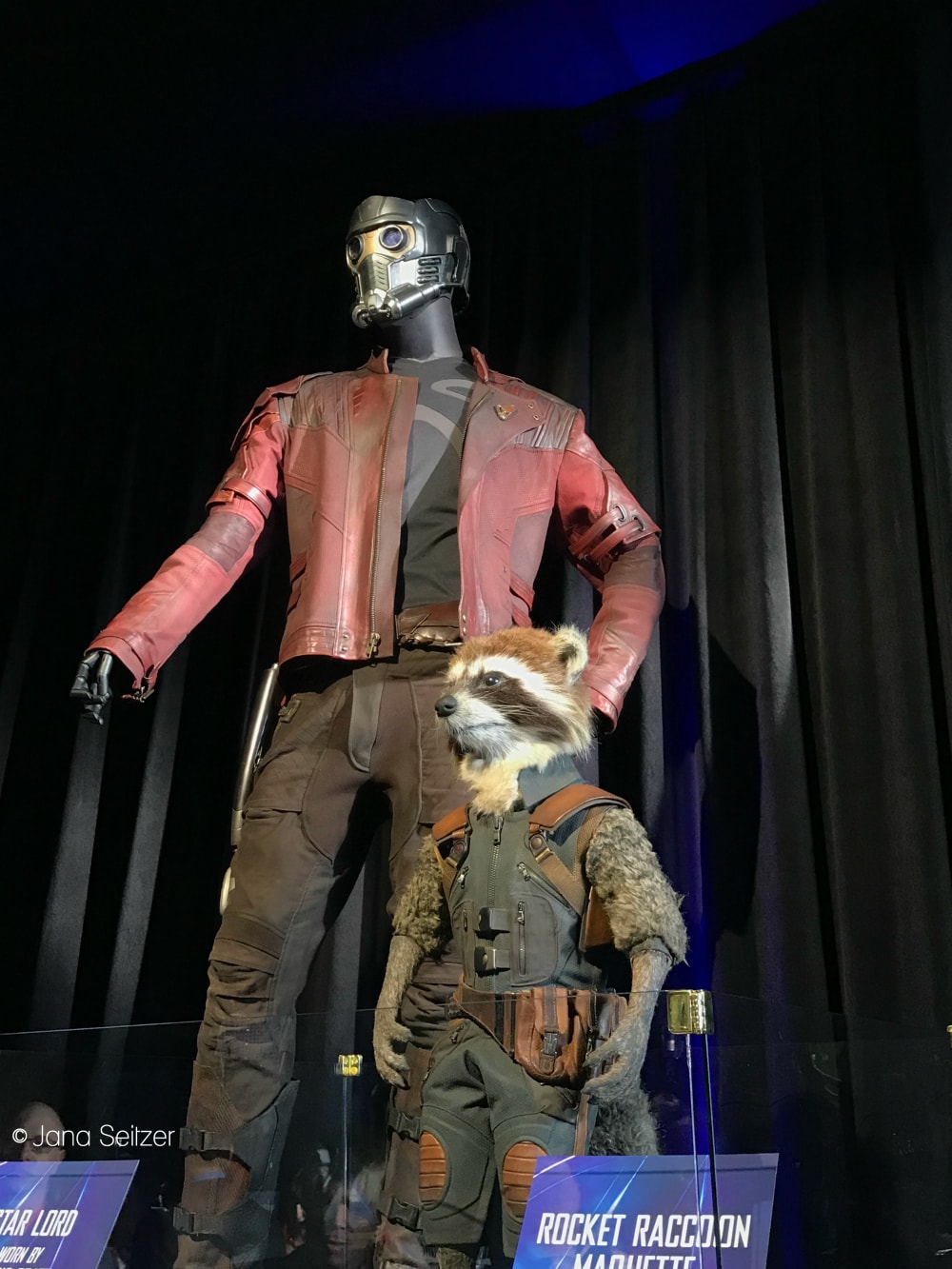 Avengers Infinity War Star Lord Rocket Raccoon Costumes
