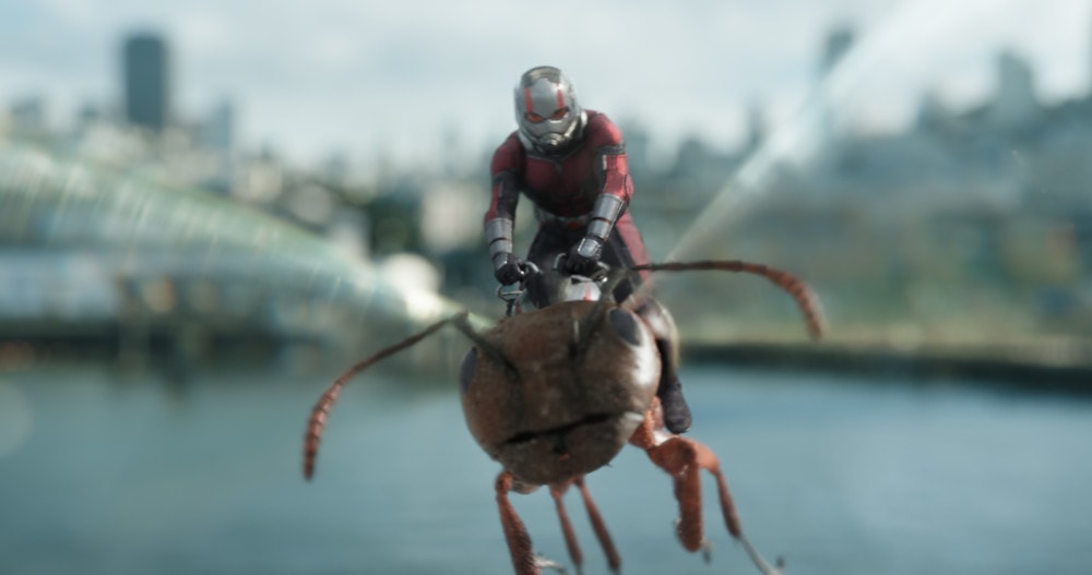 Ant-man flying on an ant - Ant-Man and the Wasp