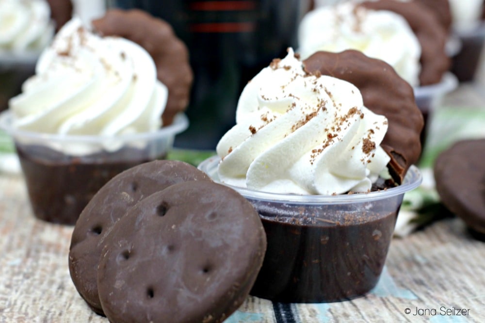 Naughty Girl Scout Pudding Shots