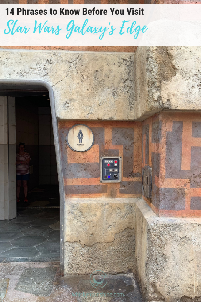 Phrases to Know Before You Visit Star Wars Galaxy's Edge