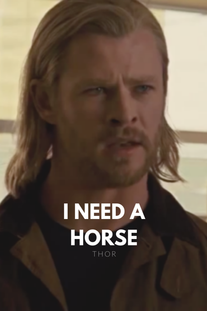 I need a horse