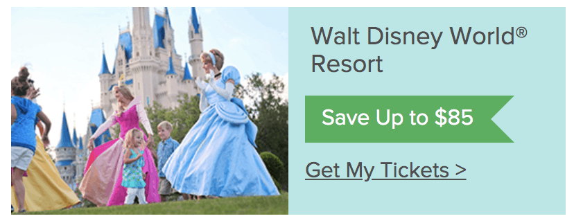 underdover tourist banner wdw