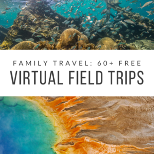 60+ Free Virtual Field Trips