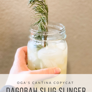 Star Wars Galaxys Edge Ogas Cantina Copycat Dagobah Slug Slinger Recipe
