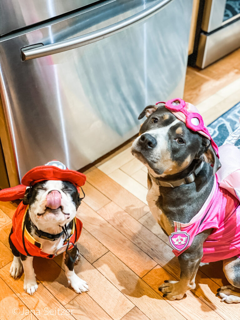 Val and Six Paw Patrol Costumes