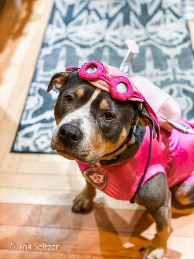 Val Paw Patrol Costume