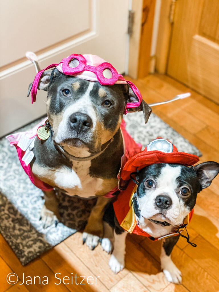 Val and Six Paw Patrol Costumes