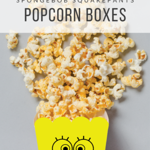 sbsp popcorn boxes