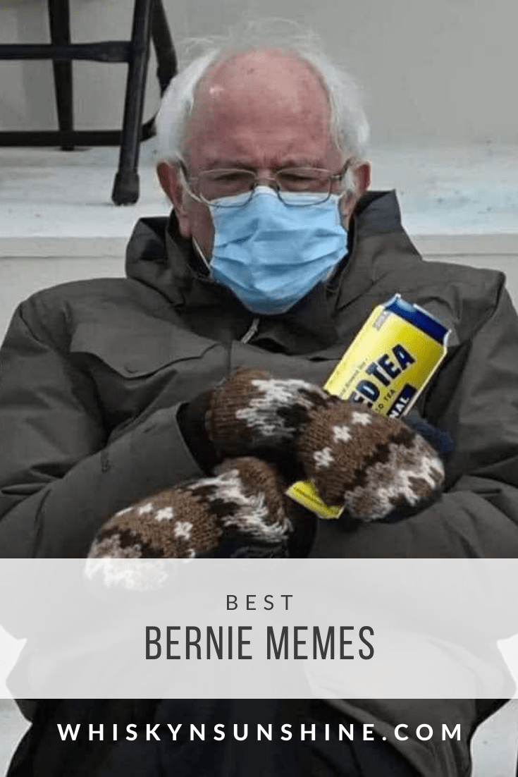 Best Bernie Memes