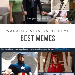 Best WandaVision Memes