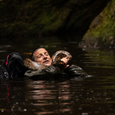 Animals on the Loose: A You vs. Wild – Review