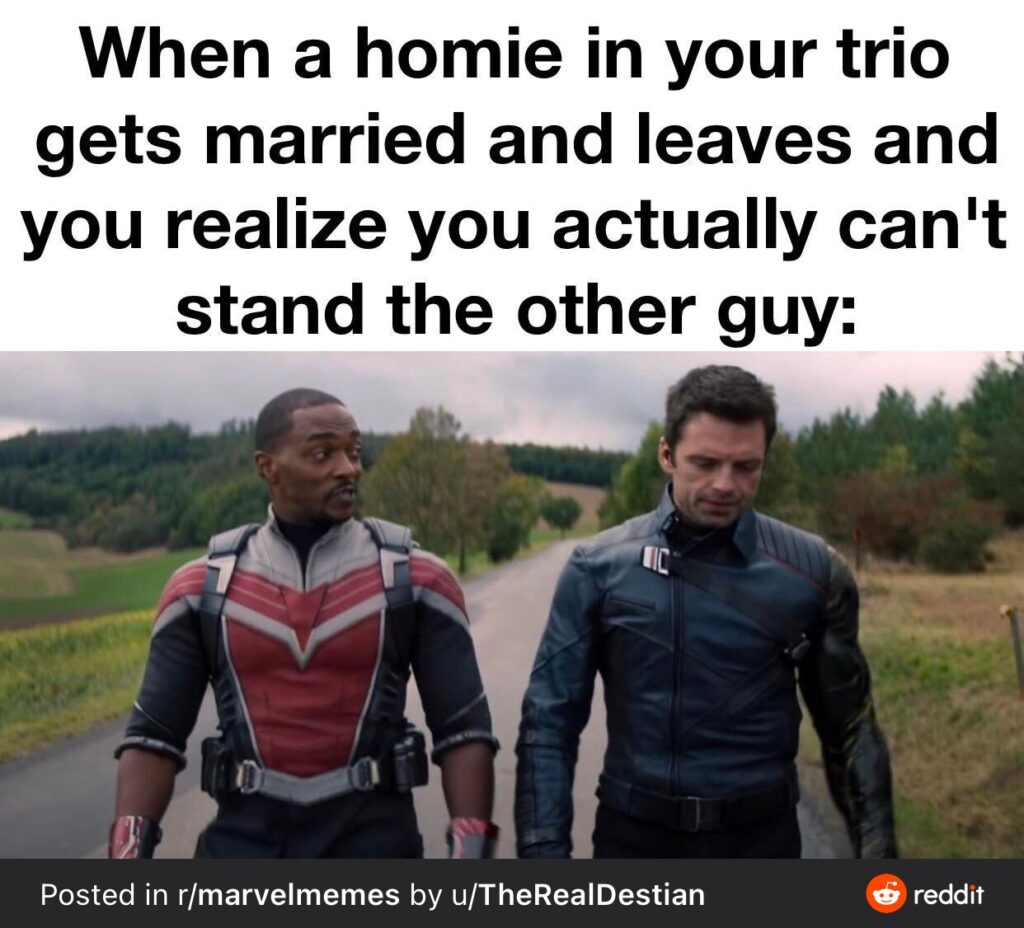 Best Memes from The Falcon and the Winter Soldier » Whisky + Sunshine