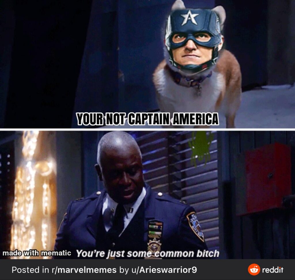Best Memes from The Falcon and the Winter Soldier | Whisky + Sunshine