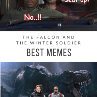 the falcon and the winter soldier best memes