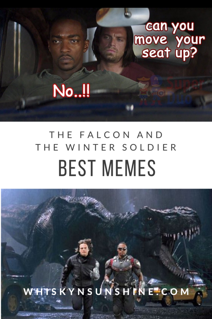 Best Memes from The Falcon and the Winter Soldier | Whisky + Sunshine