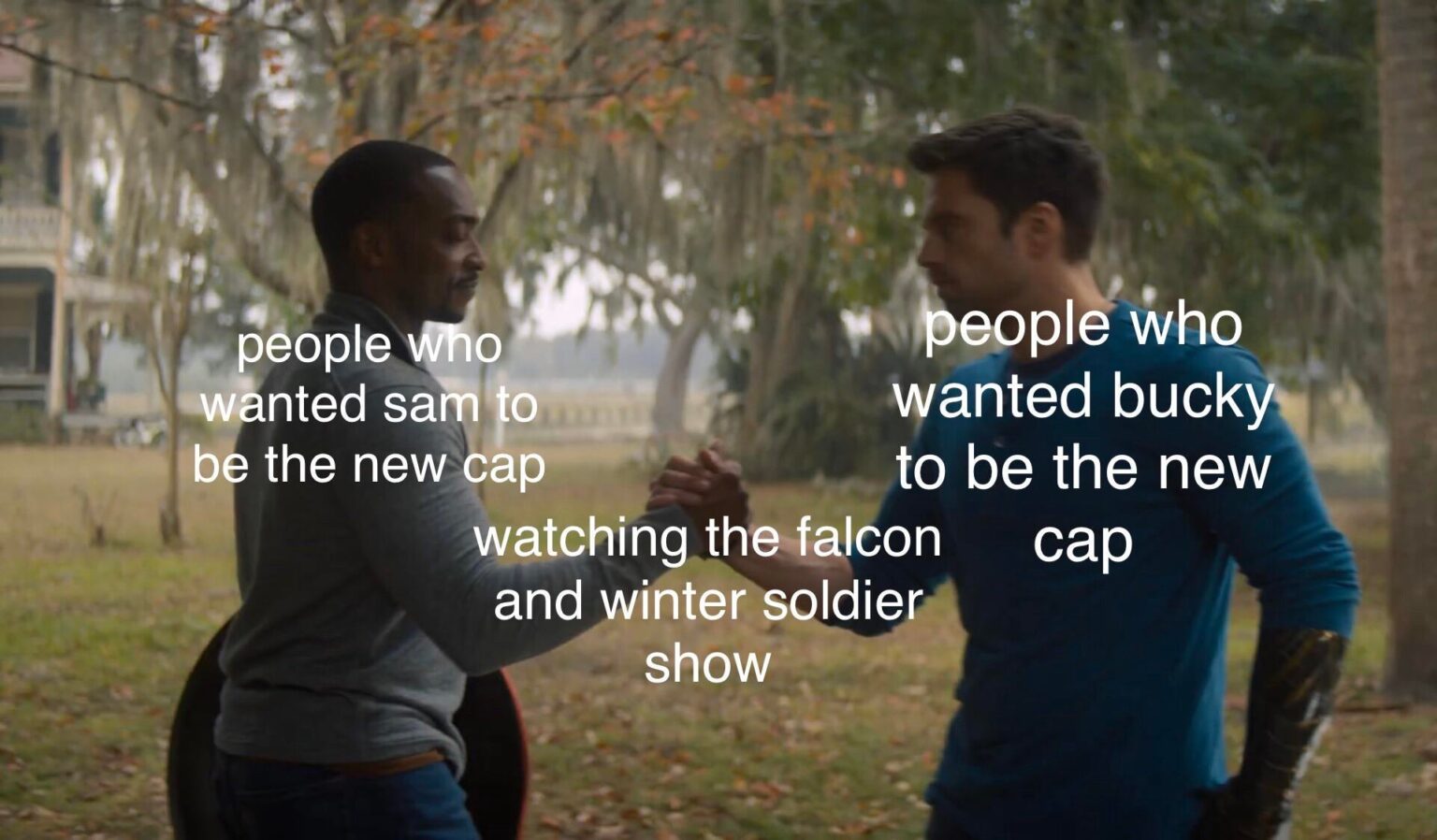Best Memes from The Falcon and the Winter Soldier » Whisky + Sunshine