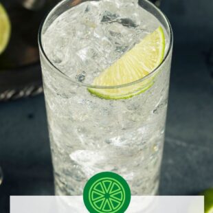 classic gin and tonic