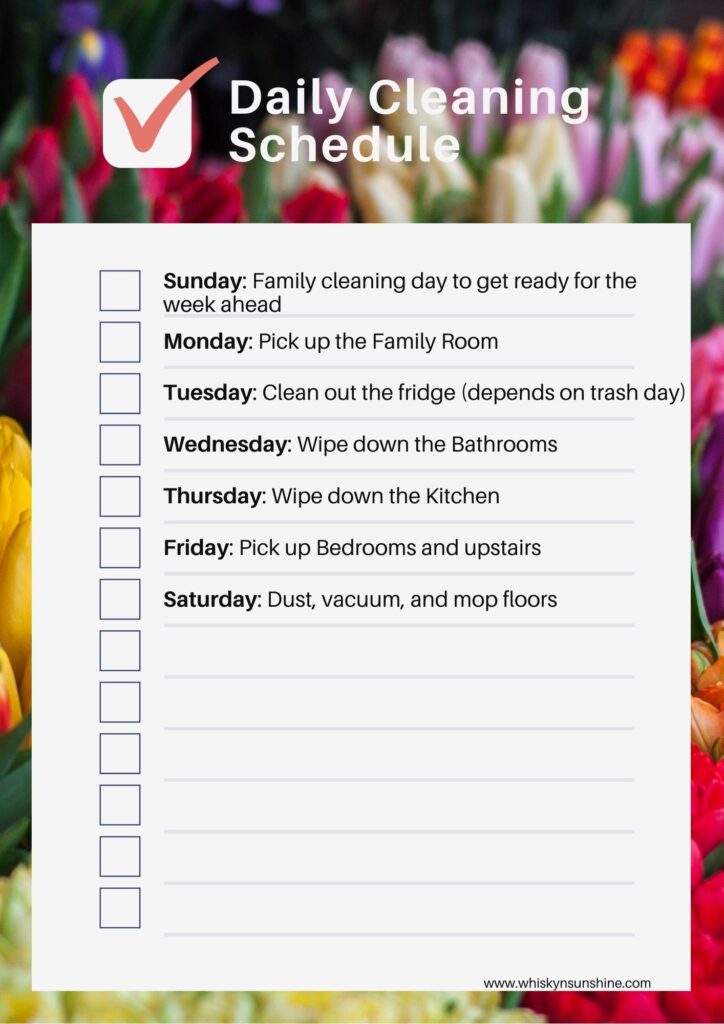 Daily Cleaning Schedule Checklist image