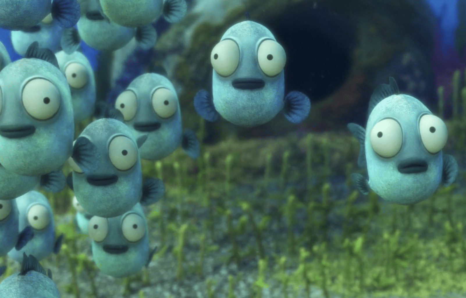 luca blenny and baby dory fish