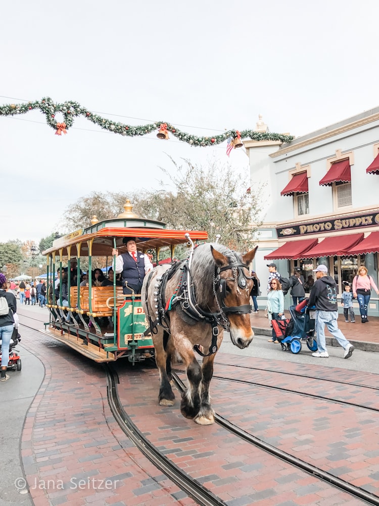 Disney Merriest Nites - Disneyland Holidays