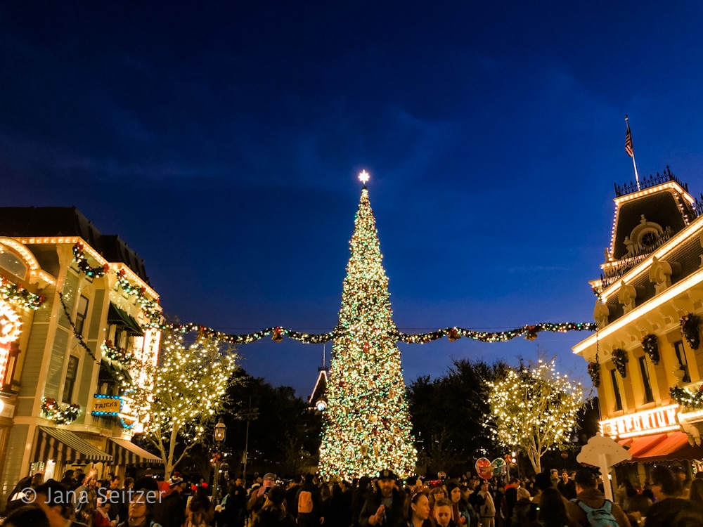 holidays at Disneyland