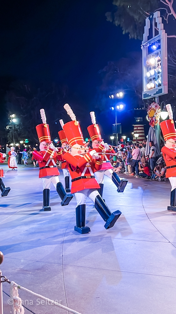 DMN parade toy soldiers