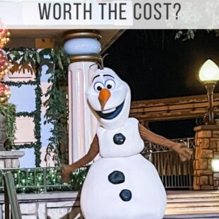Is Disney Merriest Nites Worth the Cost