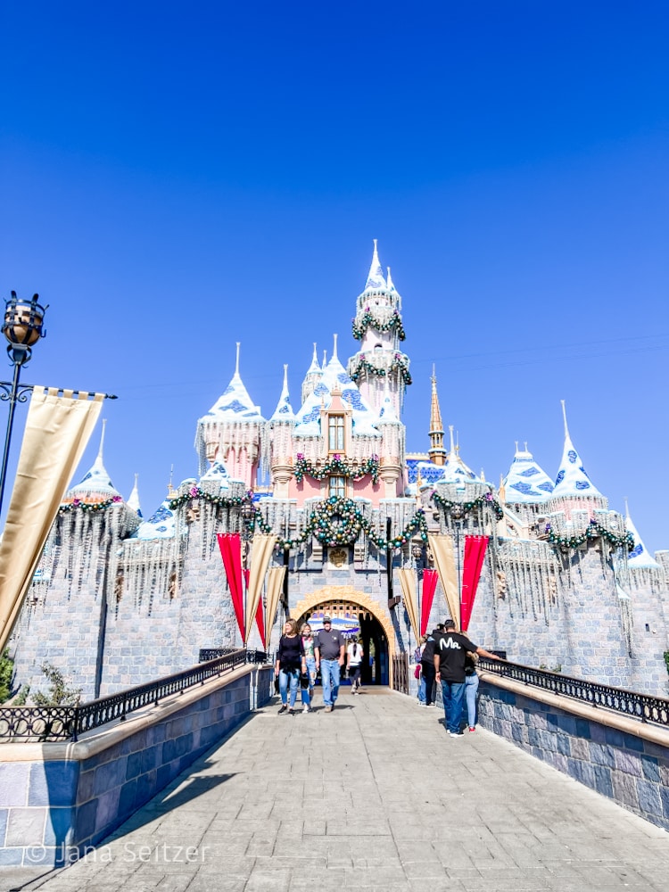 sleeping beauty castle 20211110
