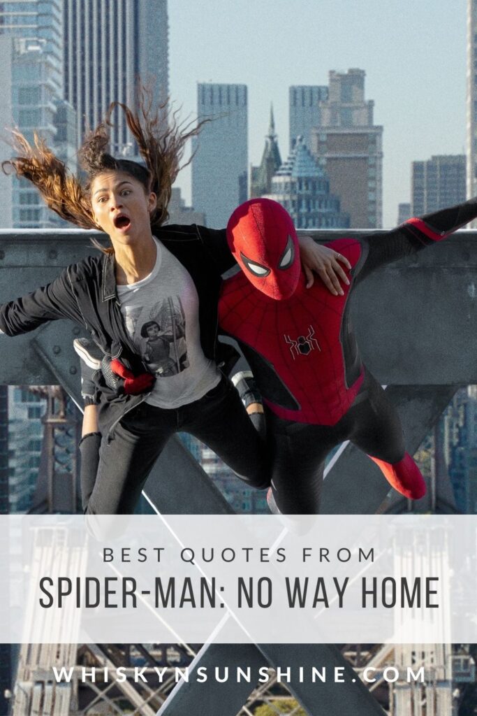 Spider-Man: No Way Home Best Quotes 