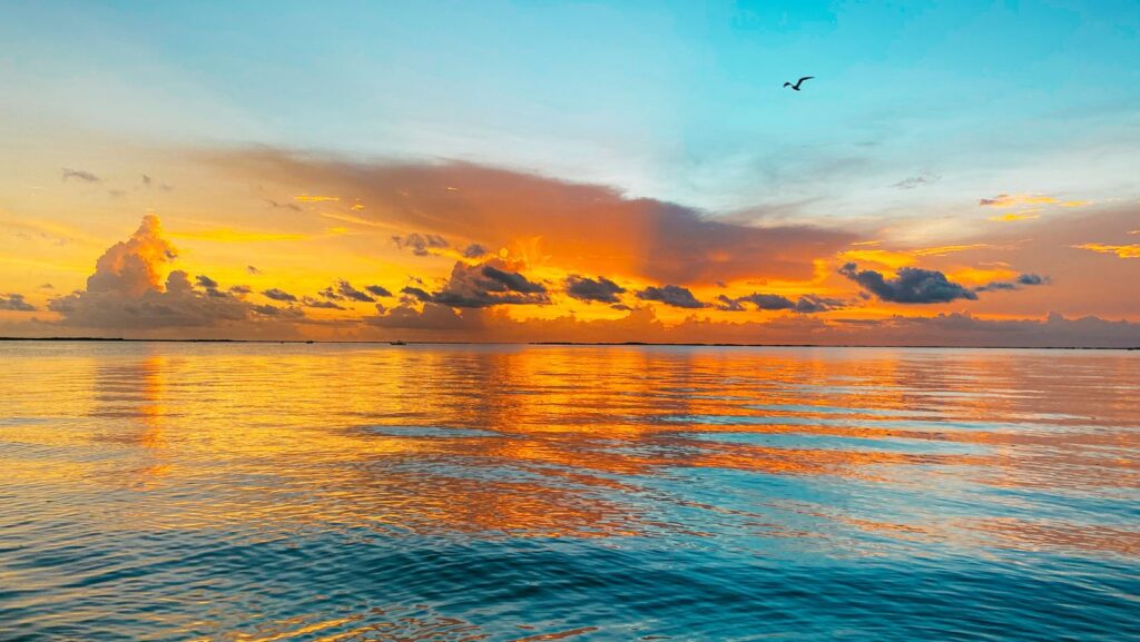 Florida Keys Sunset Jorge Porro from Getty Images Canva Pro