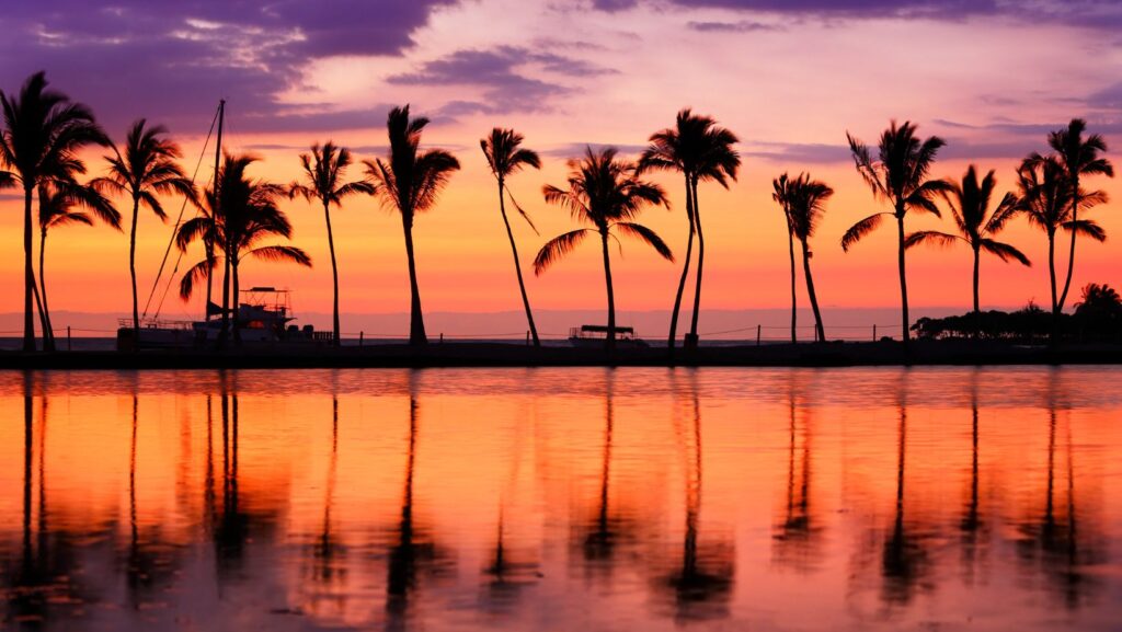 Hawaii beach sunset Maridav Canva pro