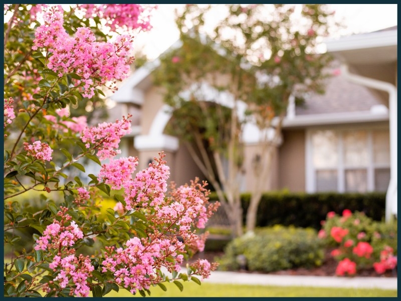 home with pink blossoms